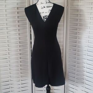 Everlane black sleeveless V-neck back full zip sheath dress size 00